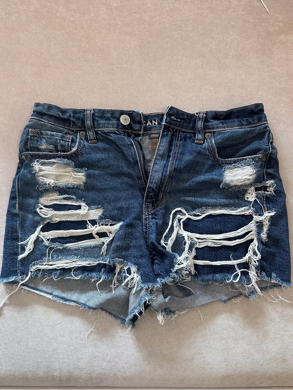 American Eagle Outfitters Distressed Dark Wash Denim Shorts